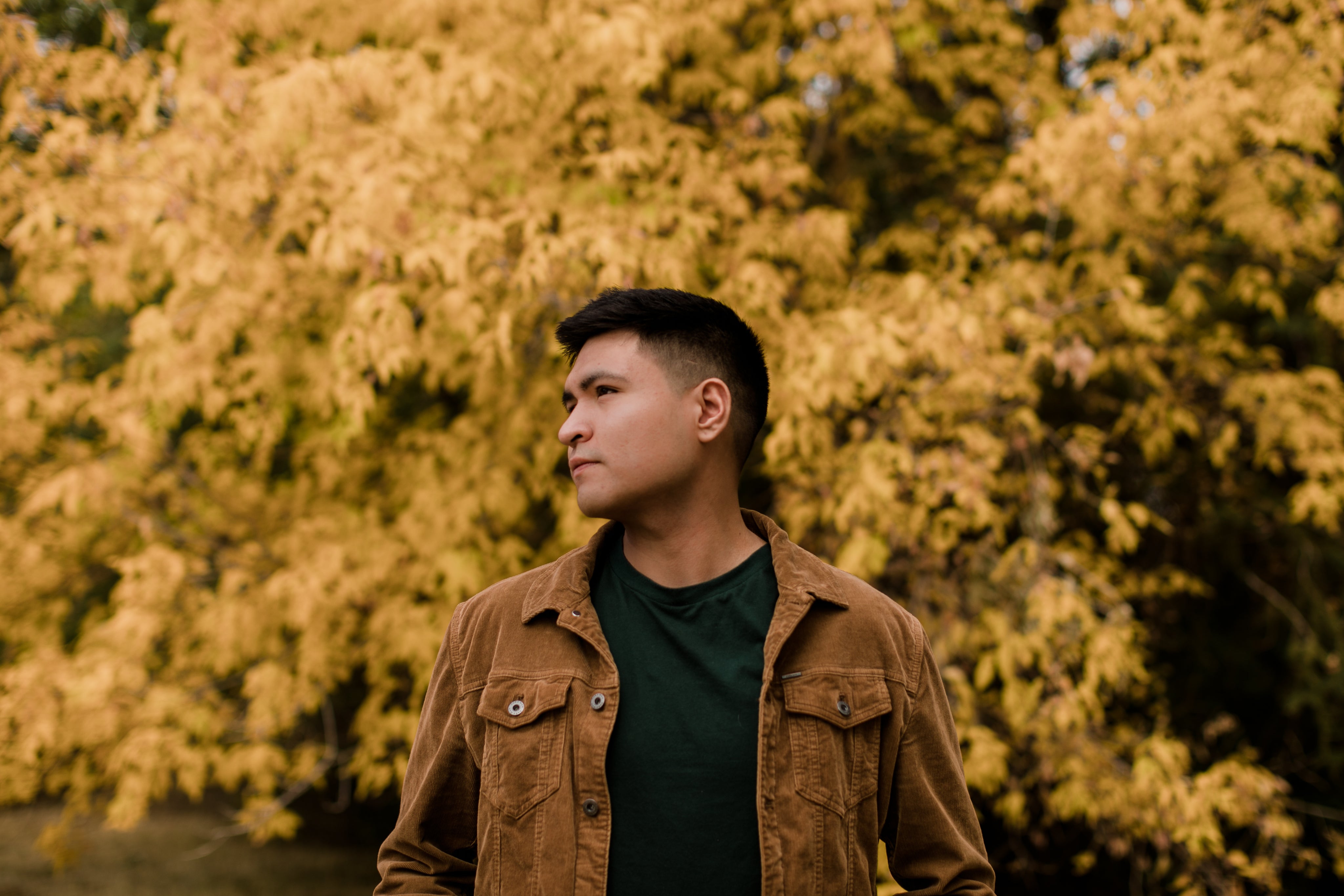 Luis A.